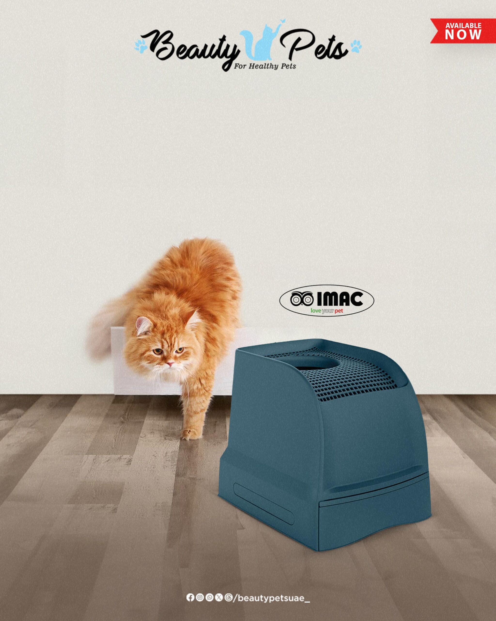 Beauty Pets social media poster