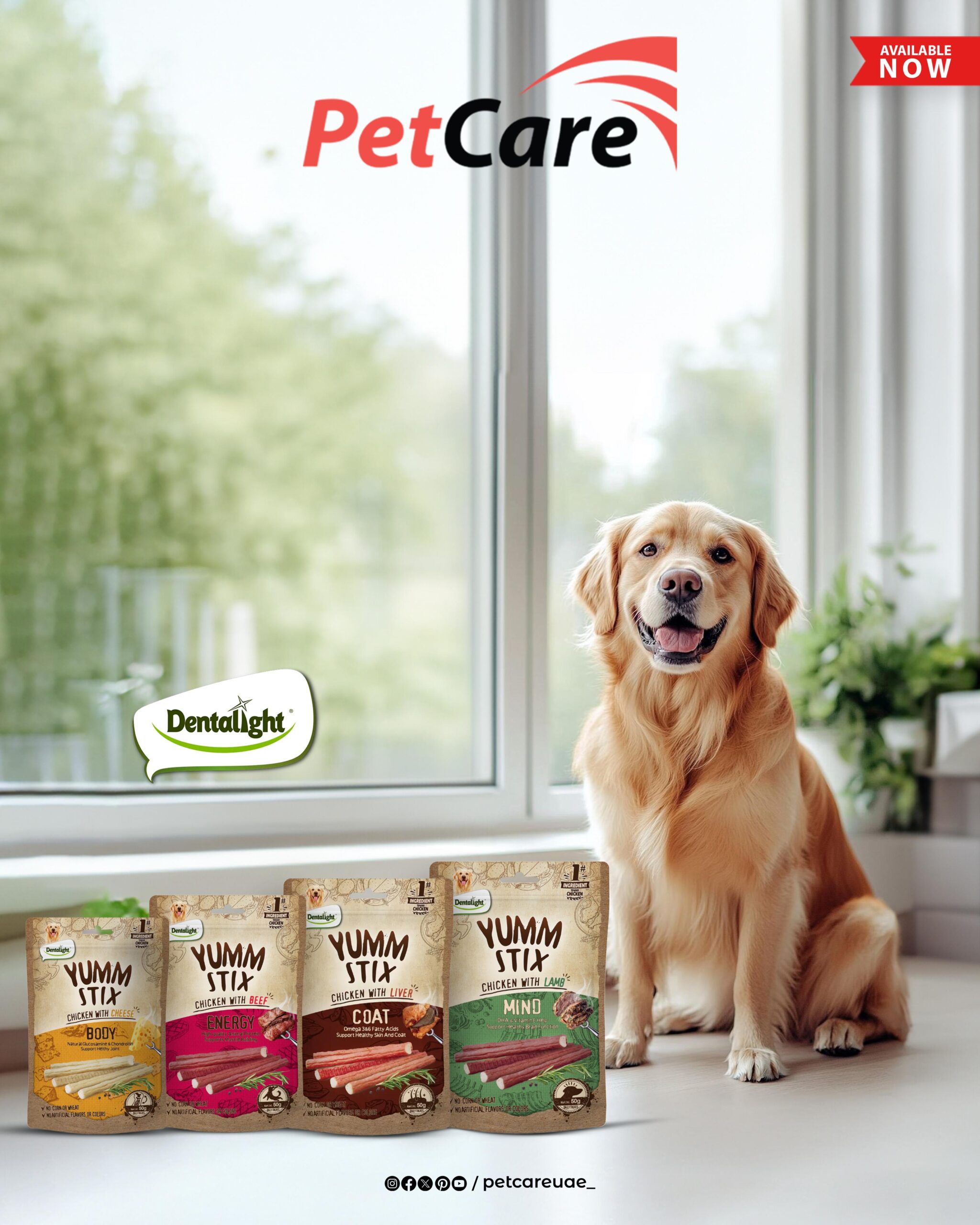 Pet Care social media poster